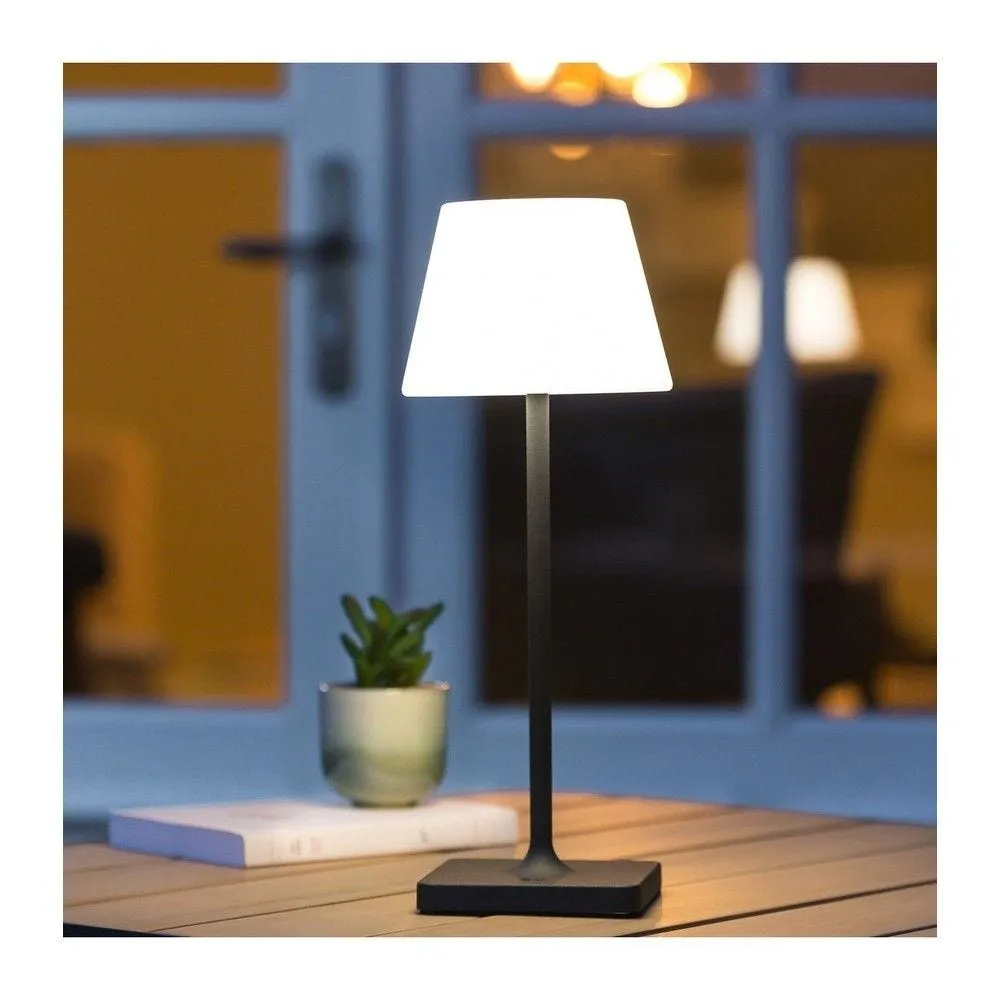 Lampe d'extérieur 14 led blanc plusieurs densités d'éclairage ø15xh 39cm