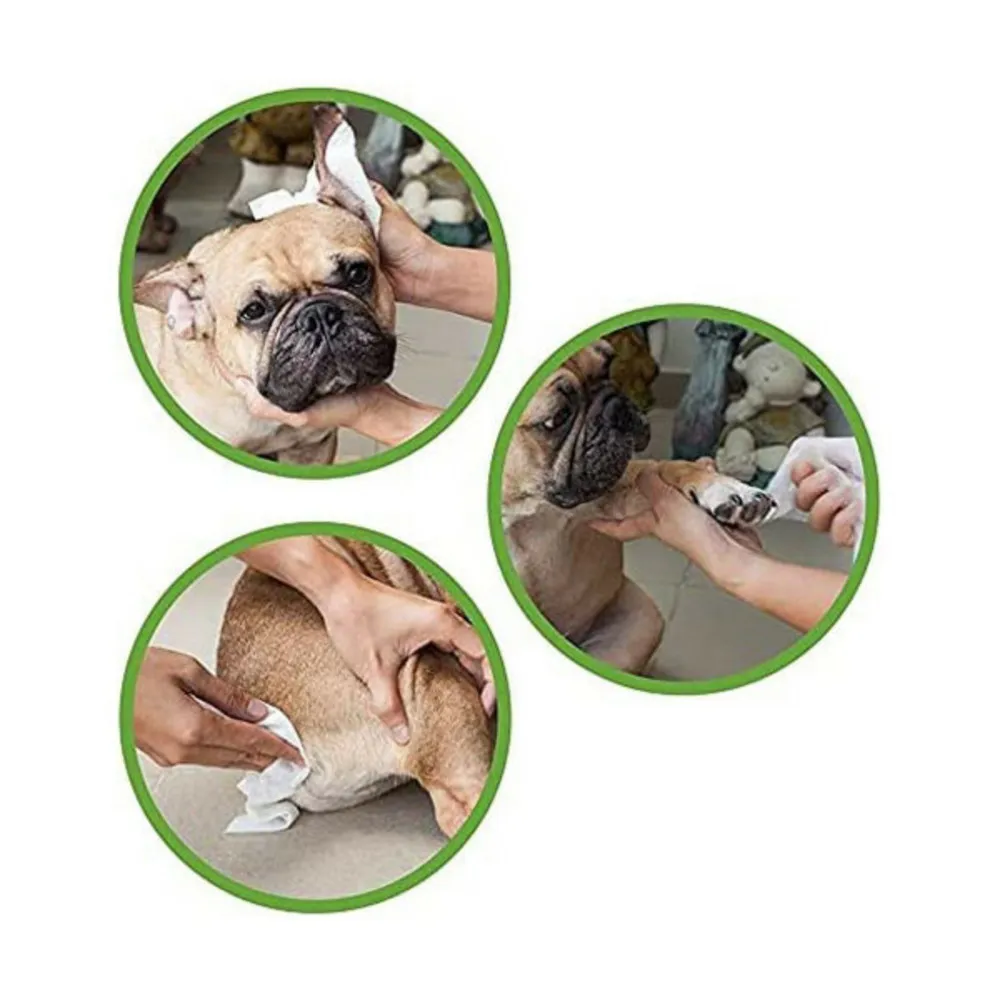 Lingettes humides pour animaux domestiques xl 40 uds 30 x 20 cm