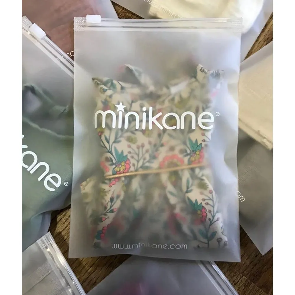 Pochettes personnalisable ziplock 1 couleur recto x100